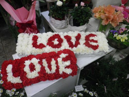 画像の名前を入力