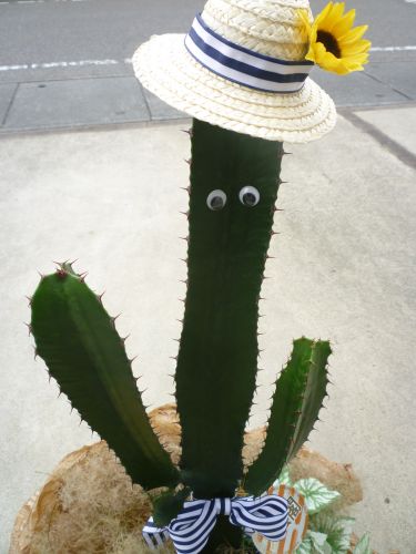 画像の名前を入力