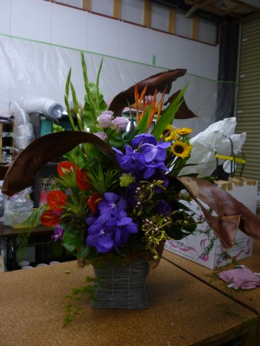 画像の名前を入力