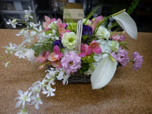 画像の名前を入力