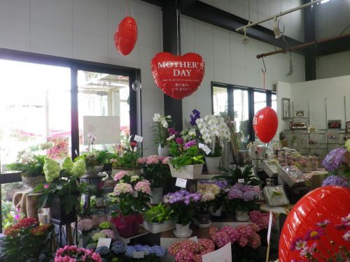 画像の名前を入力