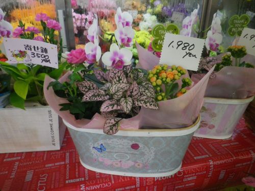 画像の名前を入力