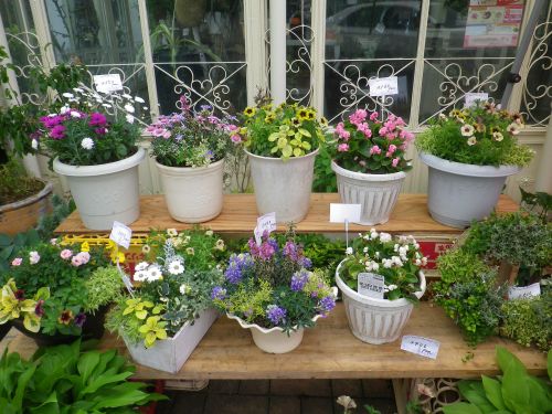 画像の名前を入力