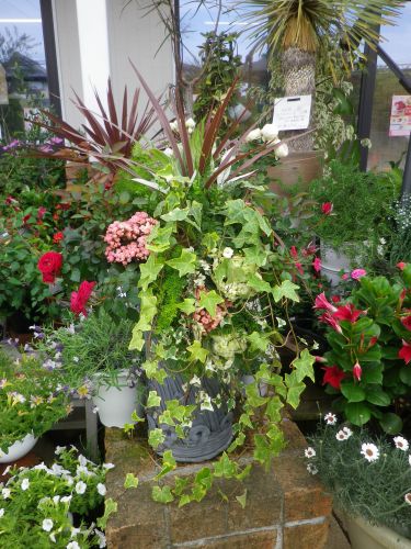 画像の名前を入力