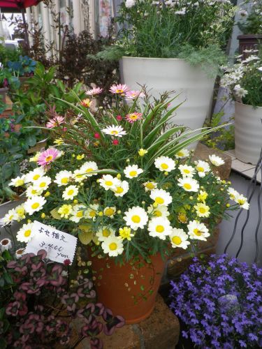 画像の名前を入力