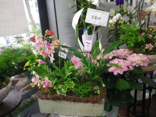 画像の名前を入力