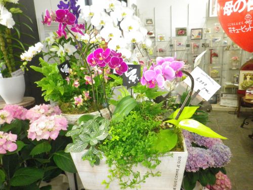 画像の名前を入力