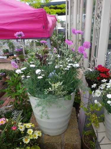 画像の名前を入力