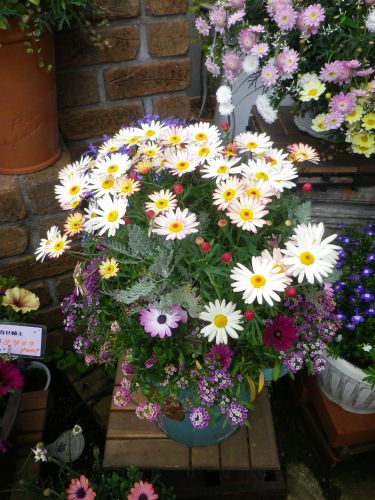 画像の名前を入力