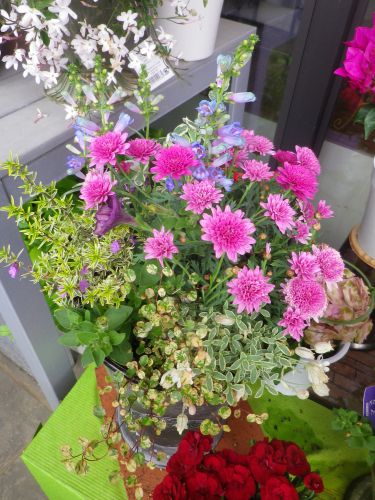 画像の名前を入力