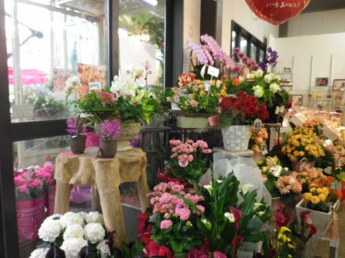 画像の名前を入力