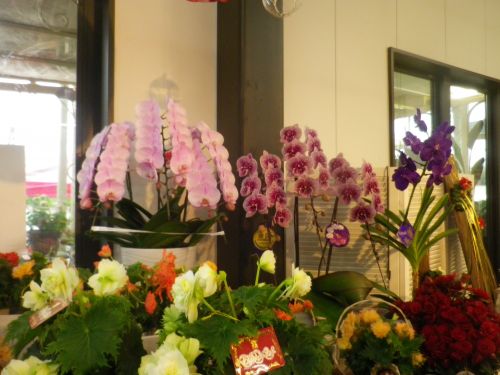 画像の名前を入力