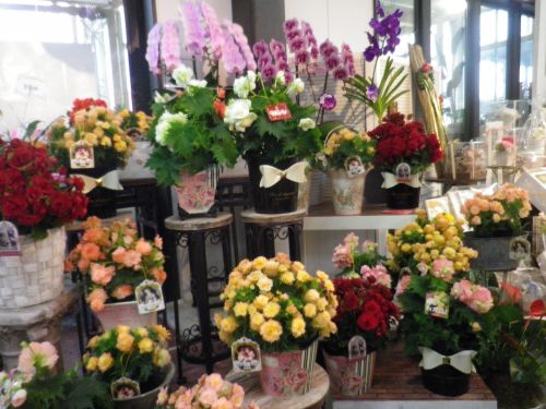 画像の名前を入力