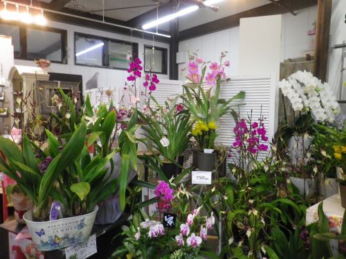 画像の名前を入力