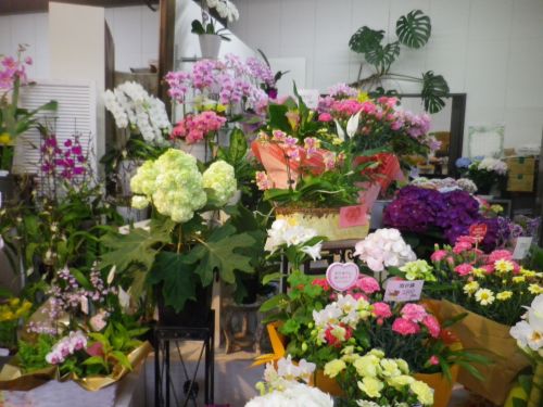 画像の名前を入力