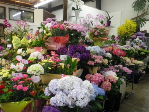 画像の名前を入力