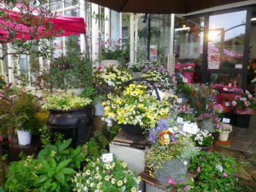 画像の名前を入力