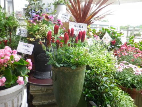 画像の名前を入力