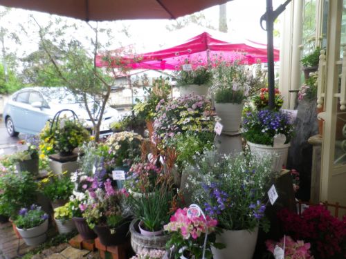 画像の名前を入力