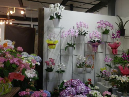 画像の名前を入力