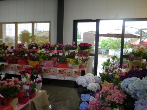 画像の名前を入力