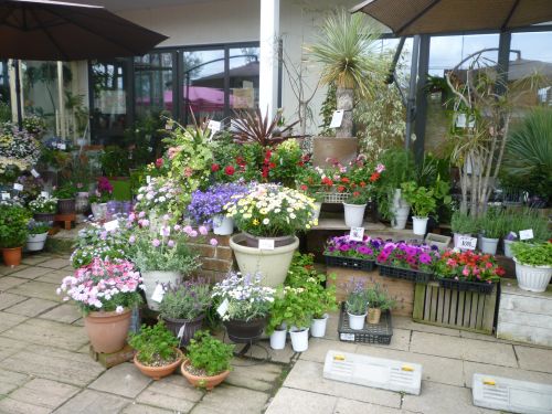 画像の名前を入力