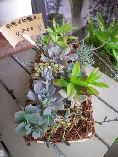 画像の名前を入力