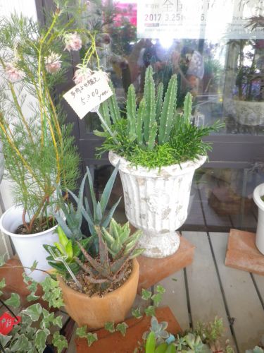 画像の名前を入力