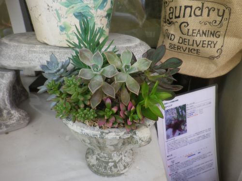 画像の名前を入力