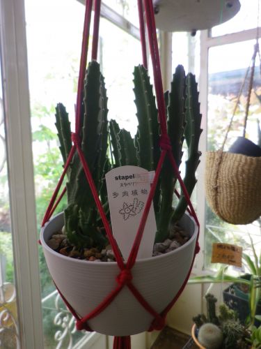 画像の名前を入力