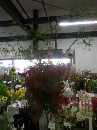 画像の名前を入力