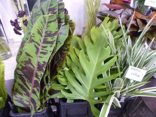 画像の名前を入力