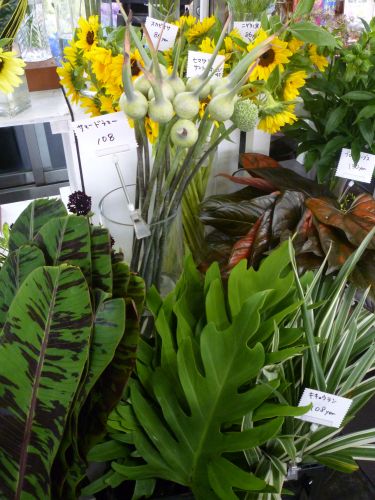 画像の名前を入力