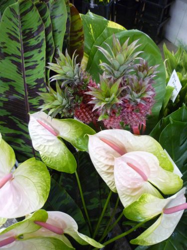 画像の名前を入力