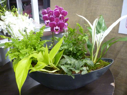 画像の名前を入力