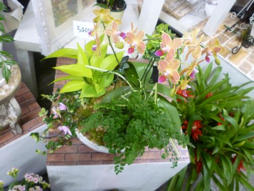 画像の名前を入力