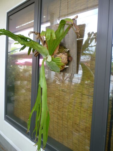 画像の名前を入力