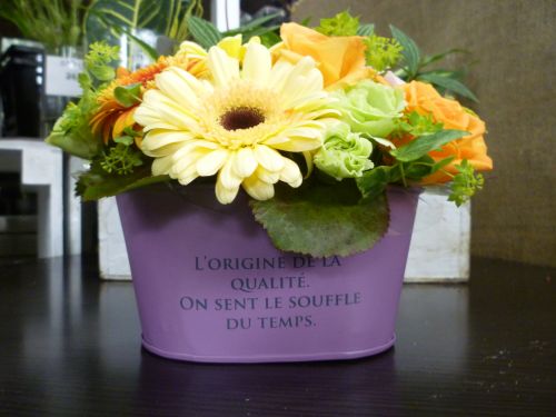 画像の名前を入力