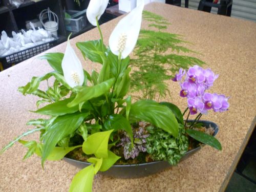 画像の名前を入力