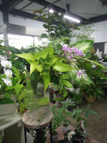 画像の名前を入力