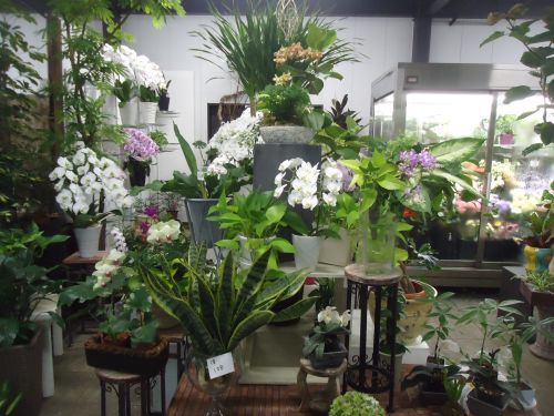 画像の名前を入力