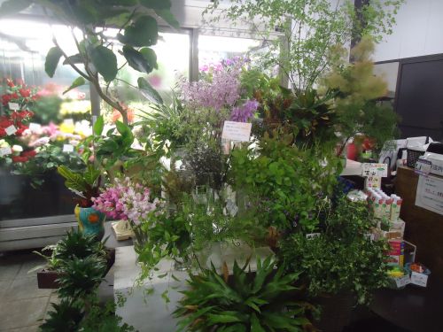 画像の名前を入力