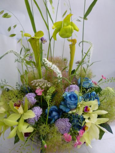 画像の名前を入力