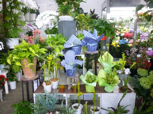 画像の名前を入力