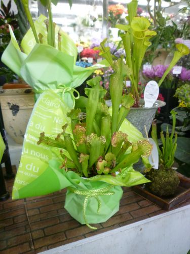 画像の名前を入力