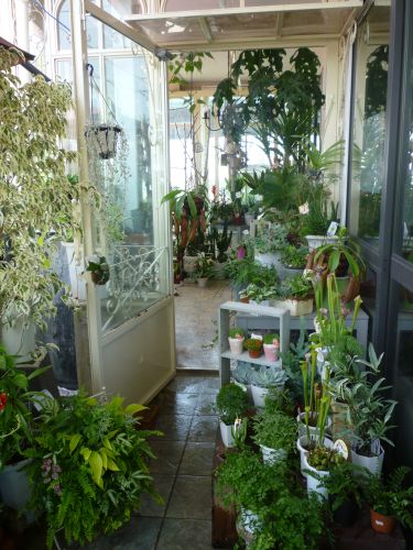 画像の名前を入力