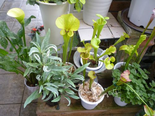 画像の名前を入力