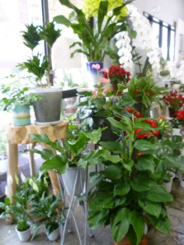 画像の名前を入力