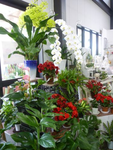 画像の名前を入力