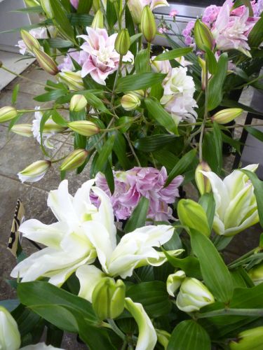 画像の名前を入力